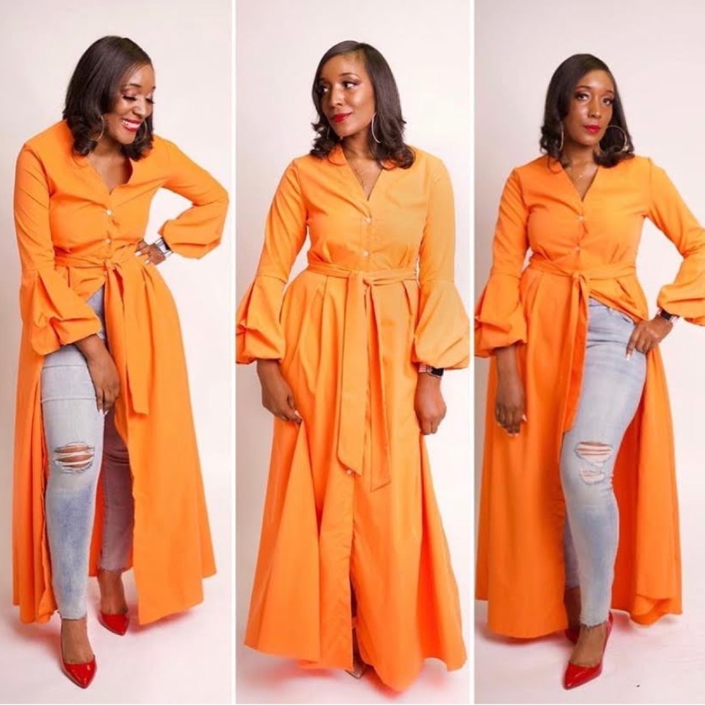 Stylish Deep V Solid Long Sleeve Maxi Dress/Duster